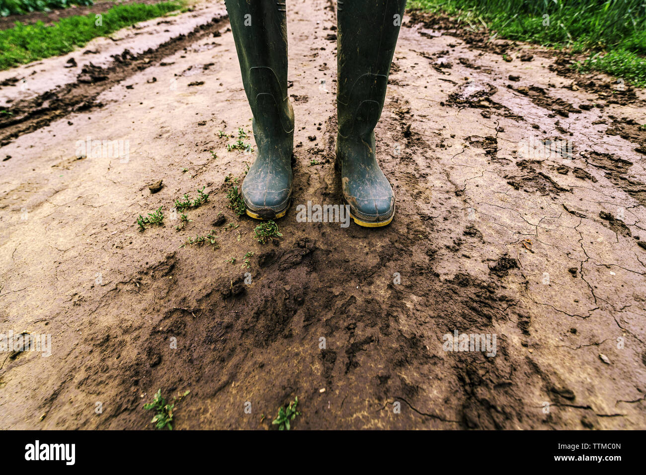 Sporco del contadino Stivali in gomma su terreni fangosi country road. Agronomo è a piedi il percorso attraverso campi coltivati dopo una forte tempesta di pioggia. Foto Stock