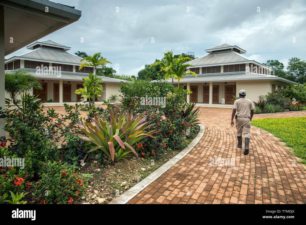 BELIZE, Punta Gorda, Toledo, al di fuori di Belcampo Belize Lodge e Jungle Farm Foto Stock