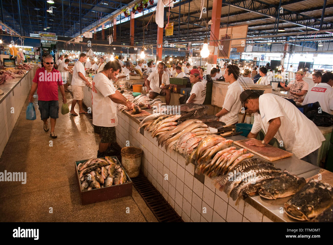 Brasile Manaus, Amazon pesci di fiume di essere venduto a Manaus mercato del pesce Foto Stock