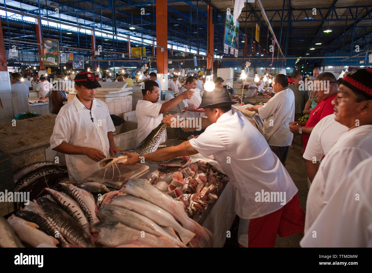 Brasile Manaus, uomo l'acquisto di pesce vengano venduti al Manaus mercato del pesce Foto Stock