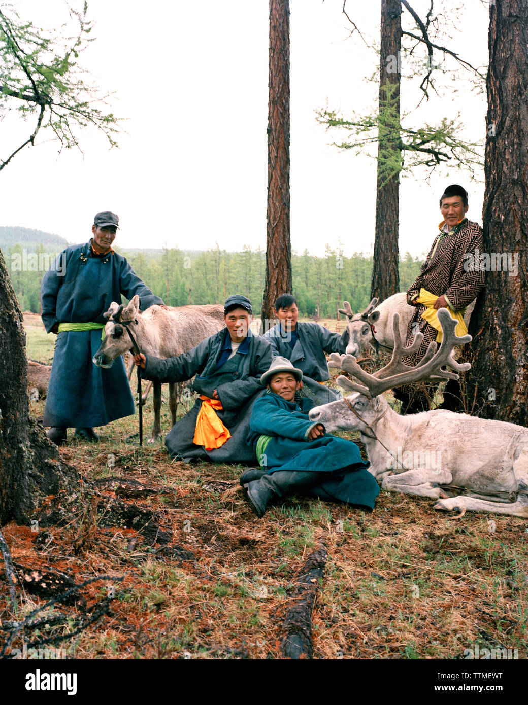La Mongolia Khuvsgul National Park, gruppo di uomini con le renne in una fattoria vicino al lago Khuvsgul Foto Stock