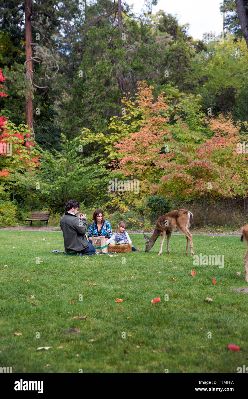 Stati Uniti d'America, Oregon, Ashland, le famiglie godono di un picnic e fauna selvatica a Lithia Park Foto Stock