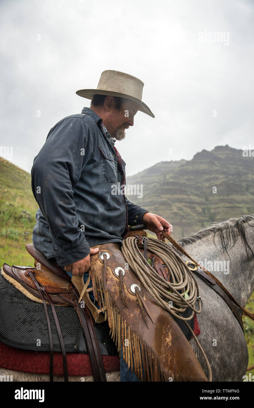 Stati Uniti d'America, Oregon, Giuseppe, ritratto di Todd Nash in pioggia sterzare Creek drenaggio, Nordest Oregon Foto Stock