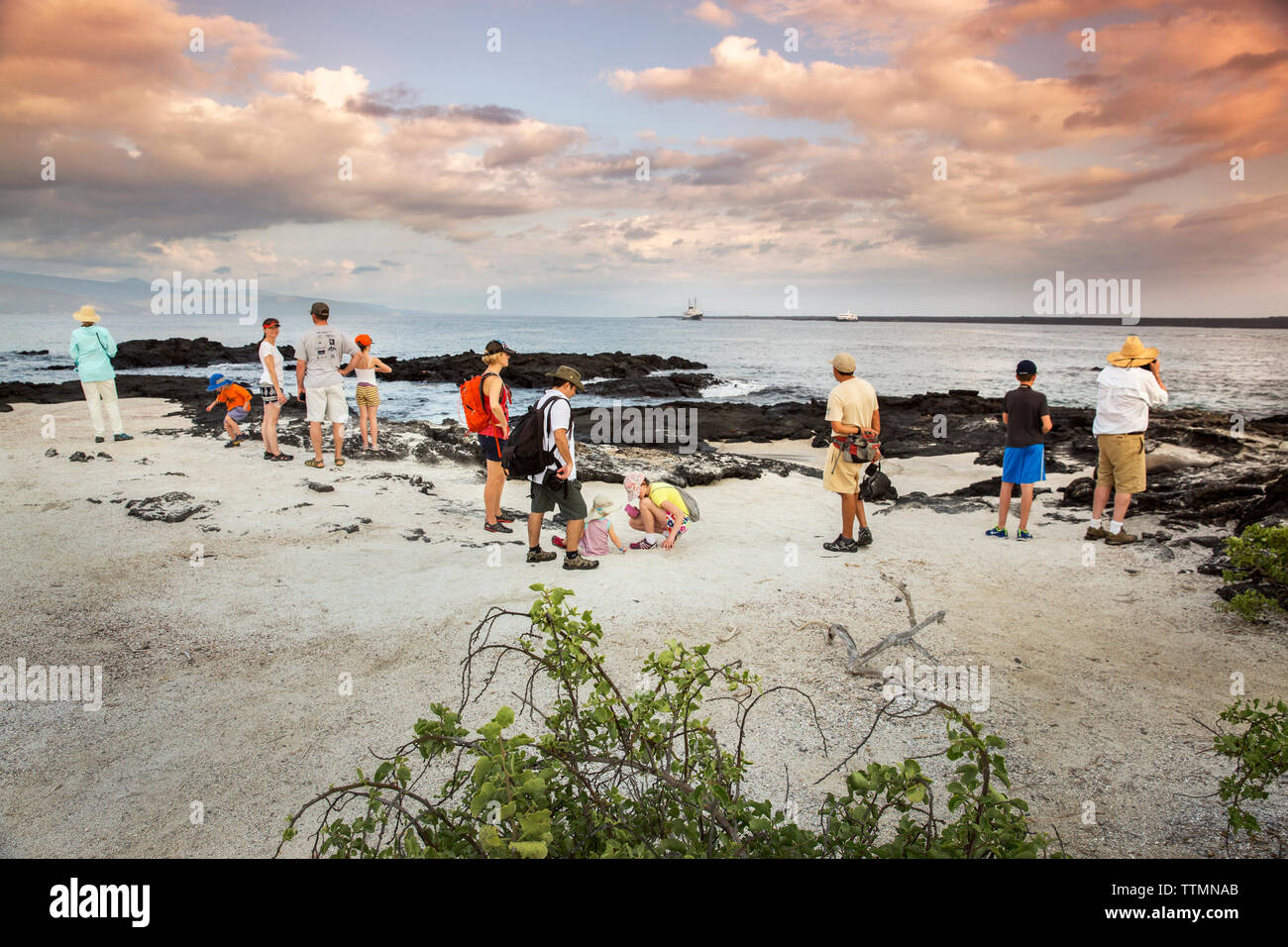 Isole GALAPAGOS, ECUADOR, un gruppo di persone appendere fuori sulla spiaggia e guardare il tramonto dal Fernandina Island Foto Stock