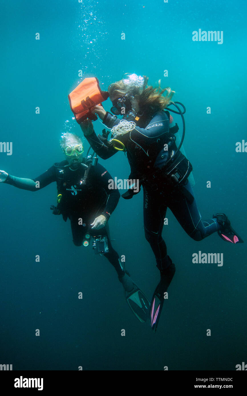 Isole GALAPAGOS, ECUADOR, individui le immersioni nelle acque in prossimità di rocce Gordon Foto Stock