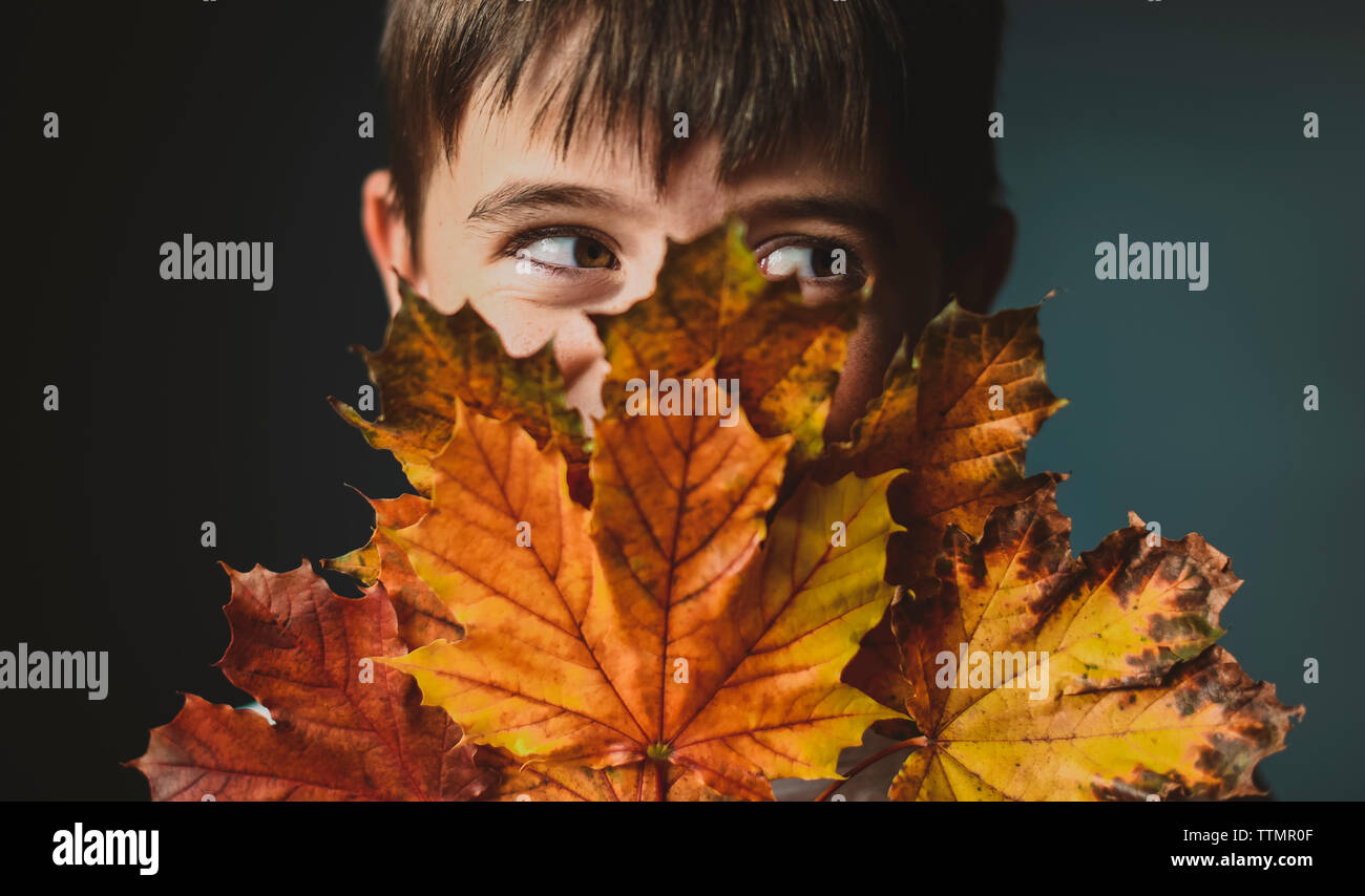 Close-up del ragazzo che guarda lontano mentre copre il viso con foglie di autunno contro sfondo colorato Foto Stock
