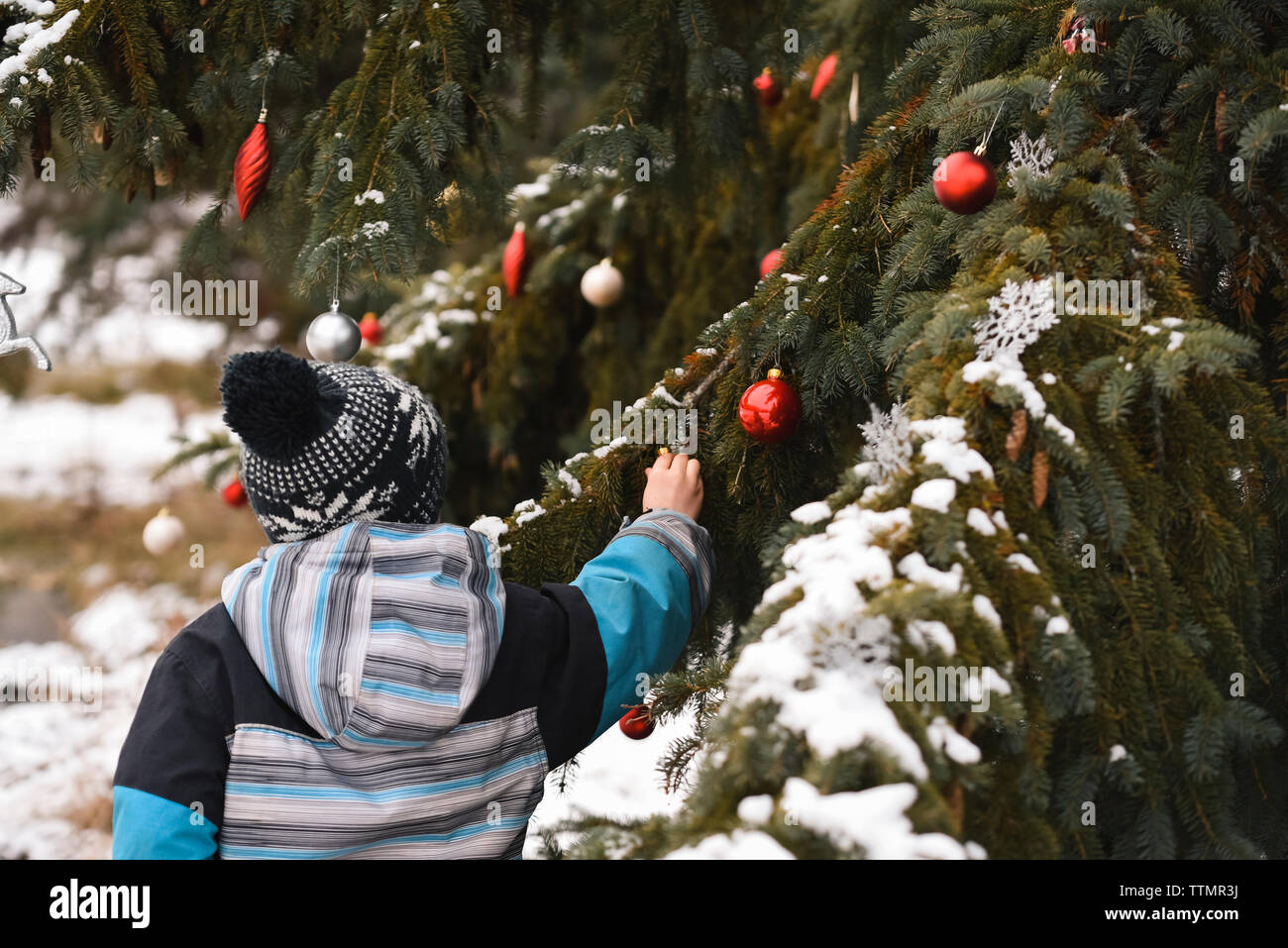 Chiusura del ragazzo giovane albero di decorazione all'aperto con le palle di Natale. Foto Stock
