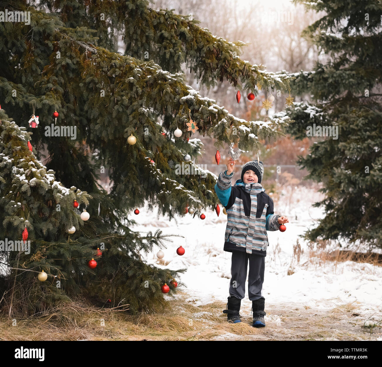 Ragazzo giovane decorare albero sempreverde con le palle di Natale all'esterno. Foto Stock