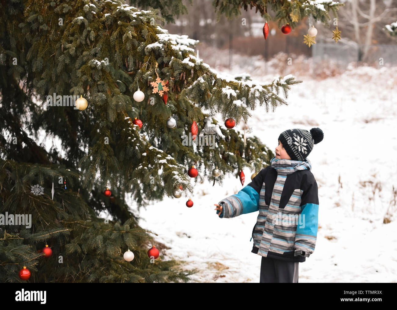 Ragazzo che guarda a Natale decorazioni su un albero all'aperto nella neve. Foto Stock