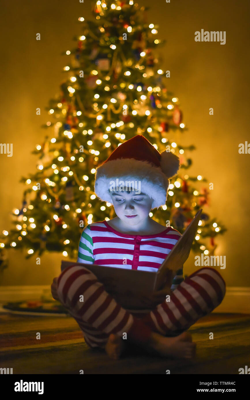 Ragazzo lettura libro davanti di albero di Natale con il viso illuminato. Foto Stock