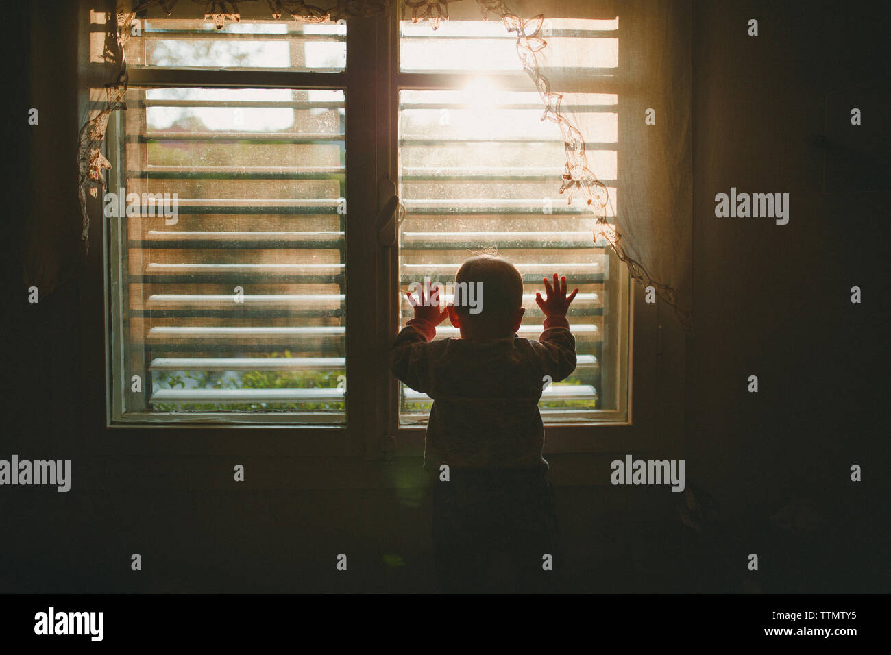 Un bambino di guardare attraverso una finestra coperto con tenda di pizzo in sunset Foto Stock