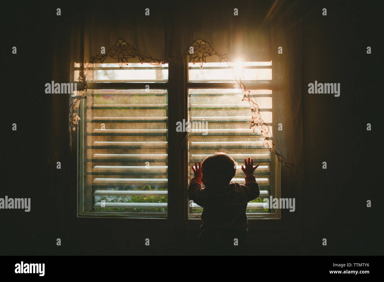 Un bambino di guardare attraverso una finestra coperto con tenda di pizzo in sunset Foto Stock
