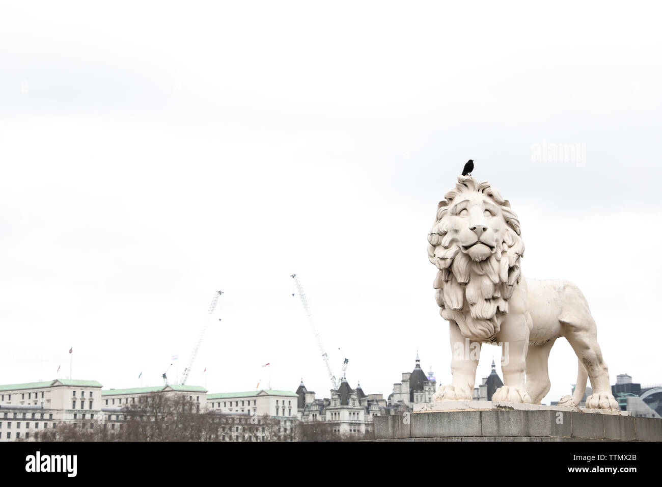 South Bank Lion statua con uccello sulla sua testa Foto Stock