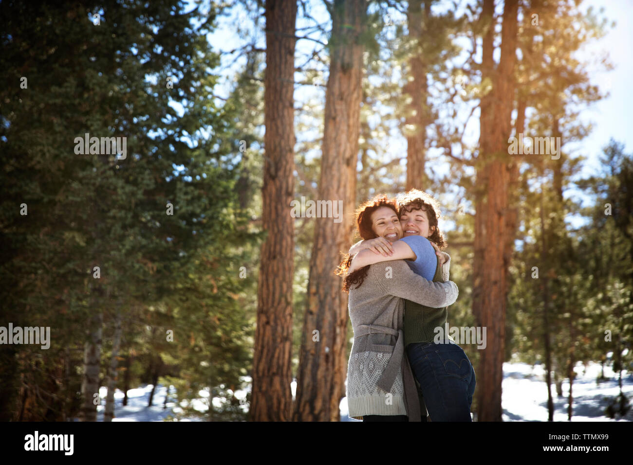 Allegro amici abbracciando mentre in piedi nella foresta durante il periodo invernale Foto Stock