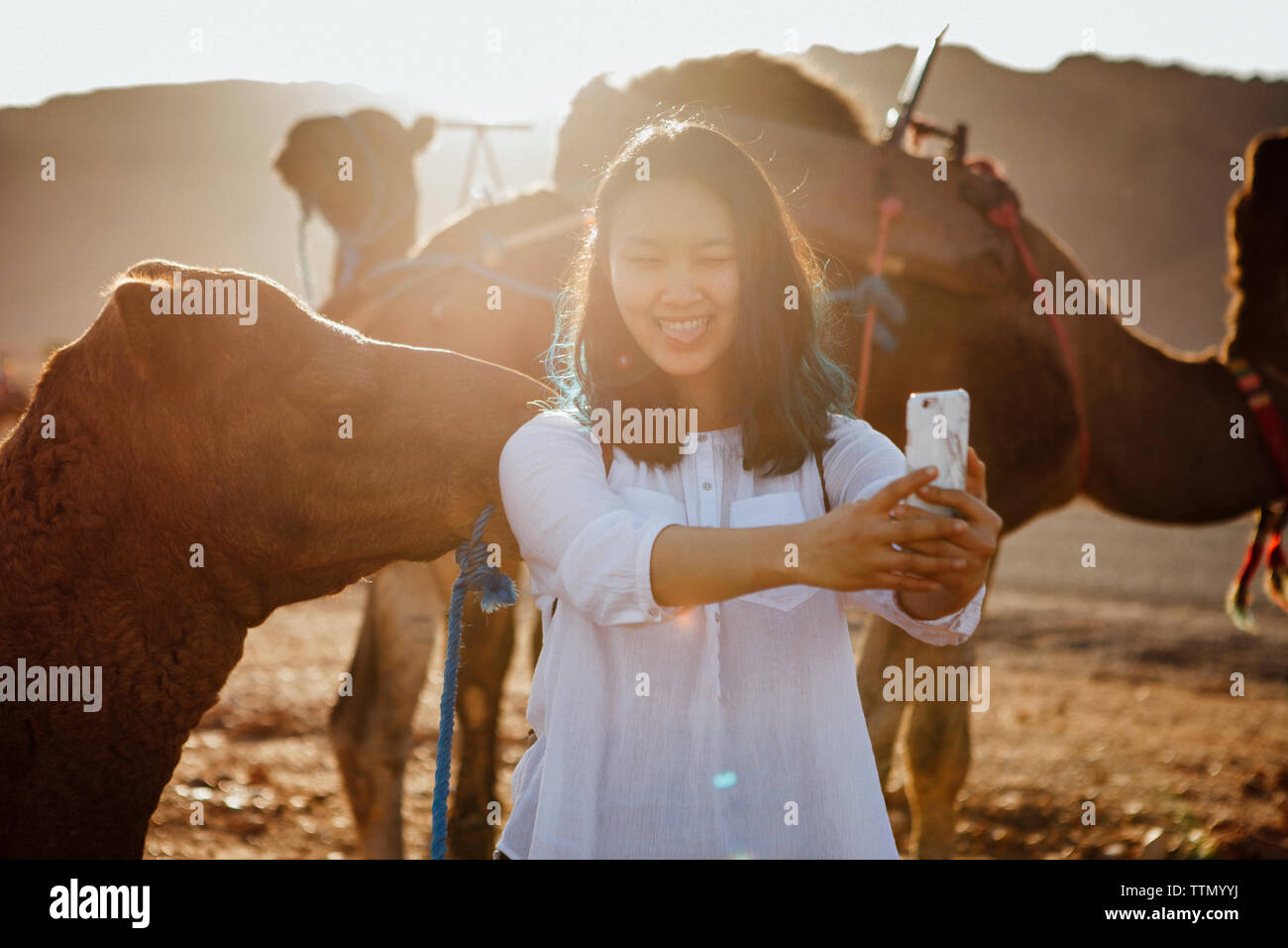 Donna sorridente tenendo selfie mentre in piedi da cammelli presso il desert durante la giornata di sole Foto Stock