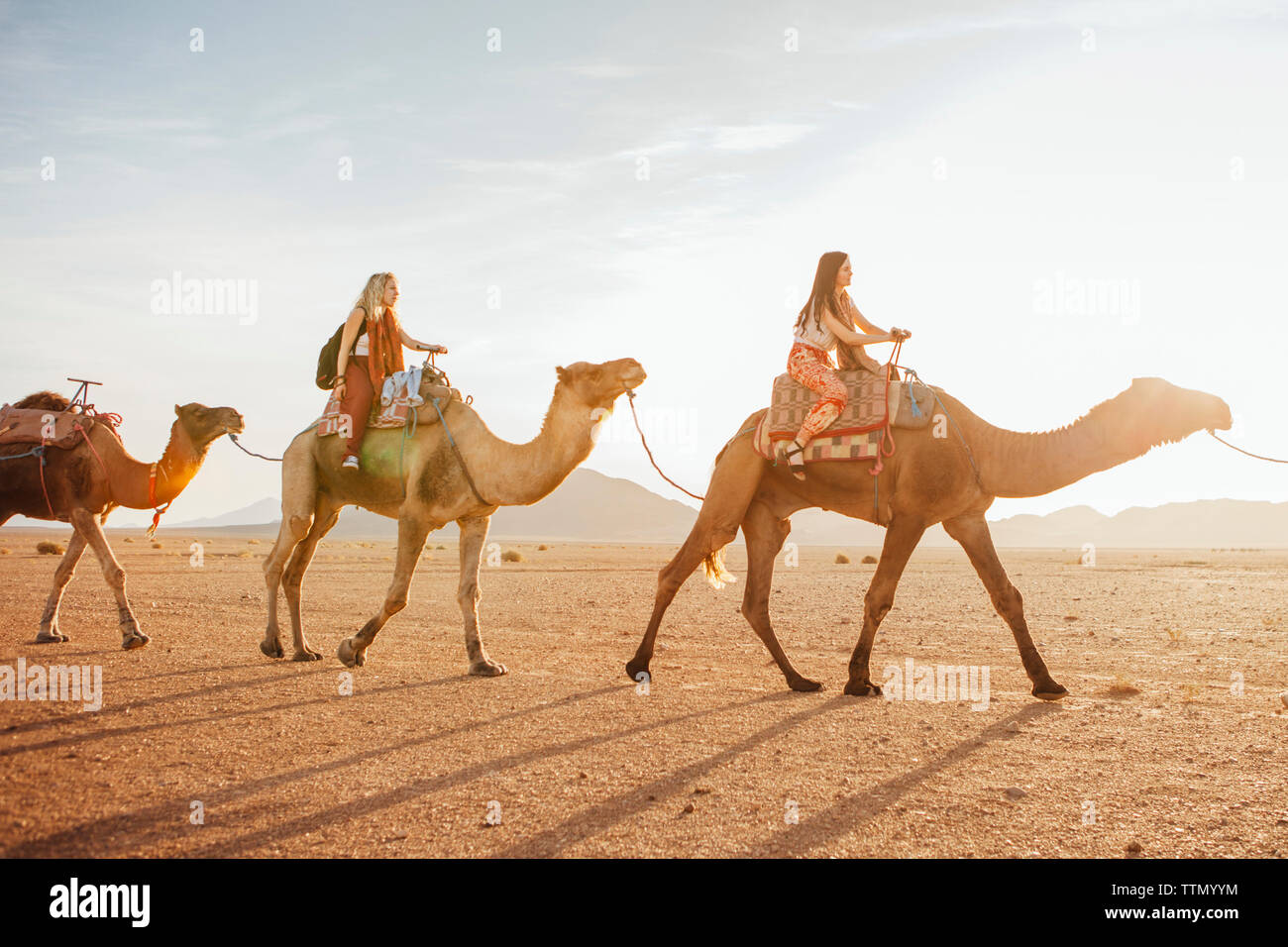 Amici di sesso femminile a cavallo di cammelli presso il desert contro sky durante la giornata di sole Foto Stock