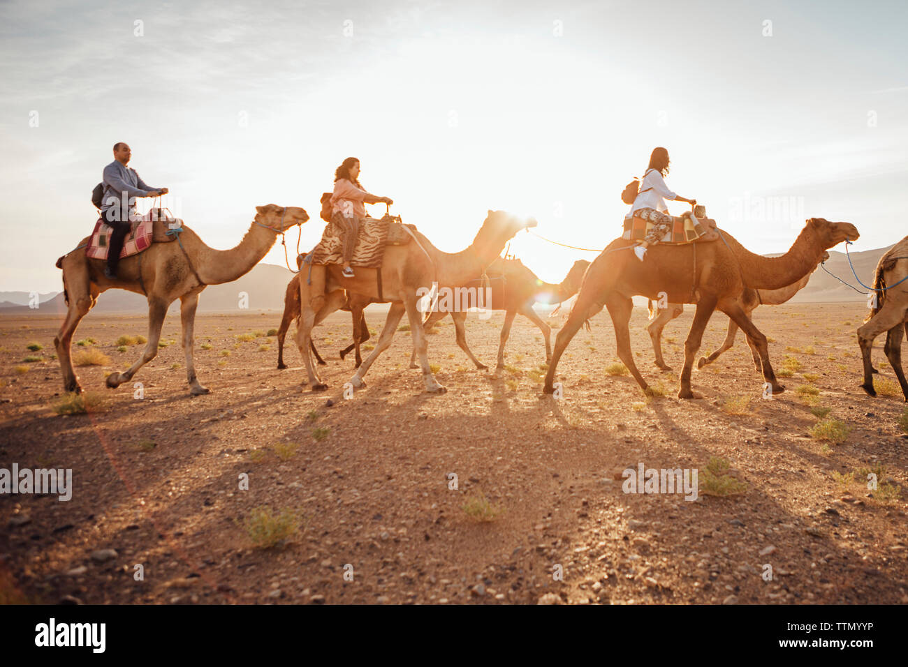 I turisti a cavallo di cammelli presso il desert contro sky durante la giornata di sole Foto Stock