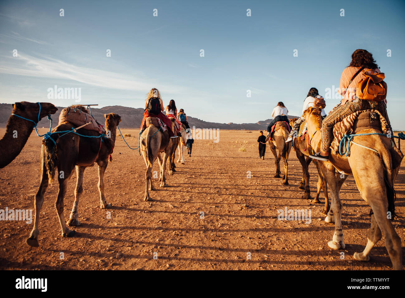 Vista posteriore di turisti a cavallo di cammelli presso il desert contro sky durante la giornata di sole Foto Stock