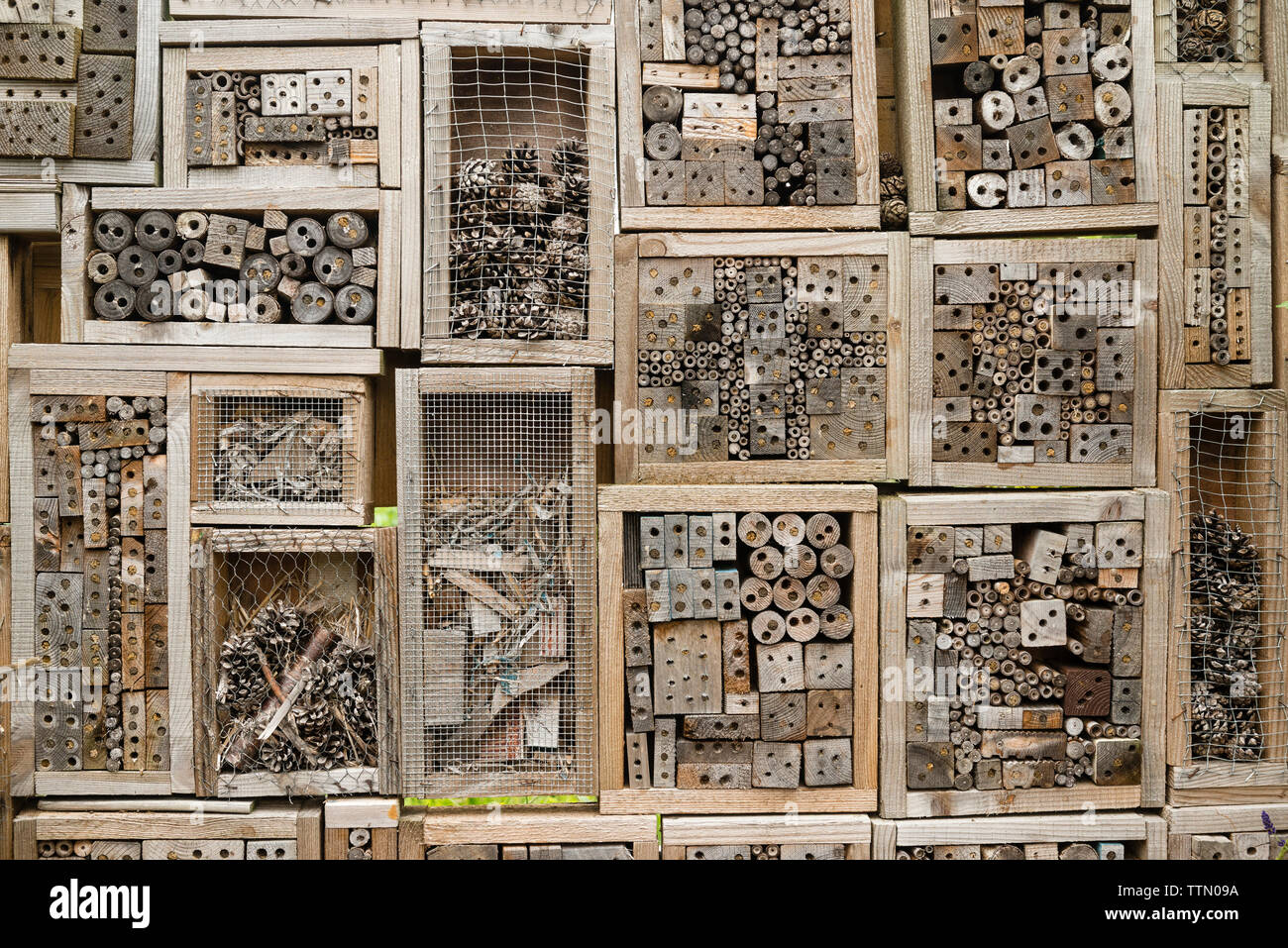 Fatta in Casa scatole di nido per solitario di api e di altri insetti - i fori con estremità chiuse a tenuta sono già stati occupati (UK) Foto Stock