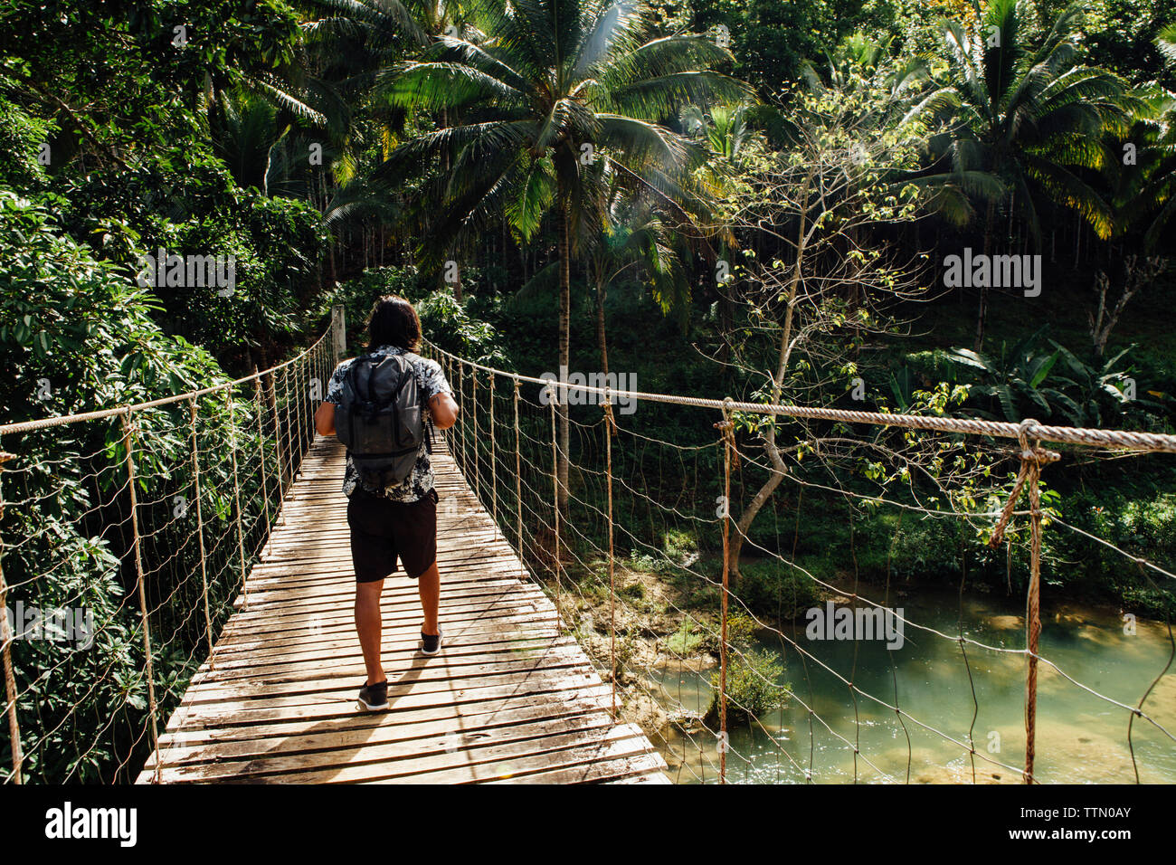 Vista posteriore dell'uomo con zaino camminando sulla passerella sul fiume nella foresta Foto Stock