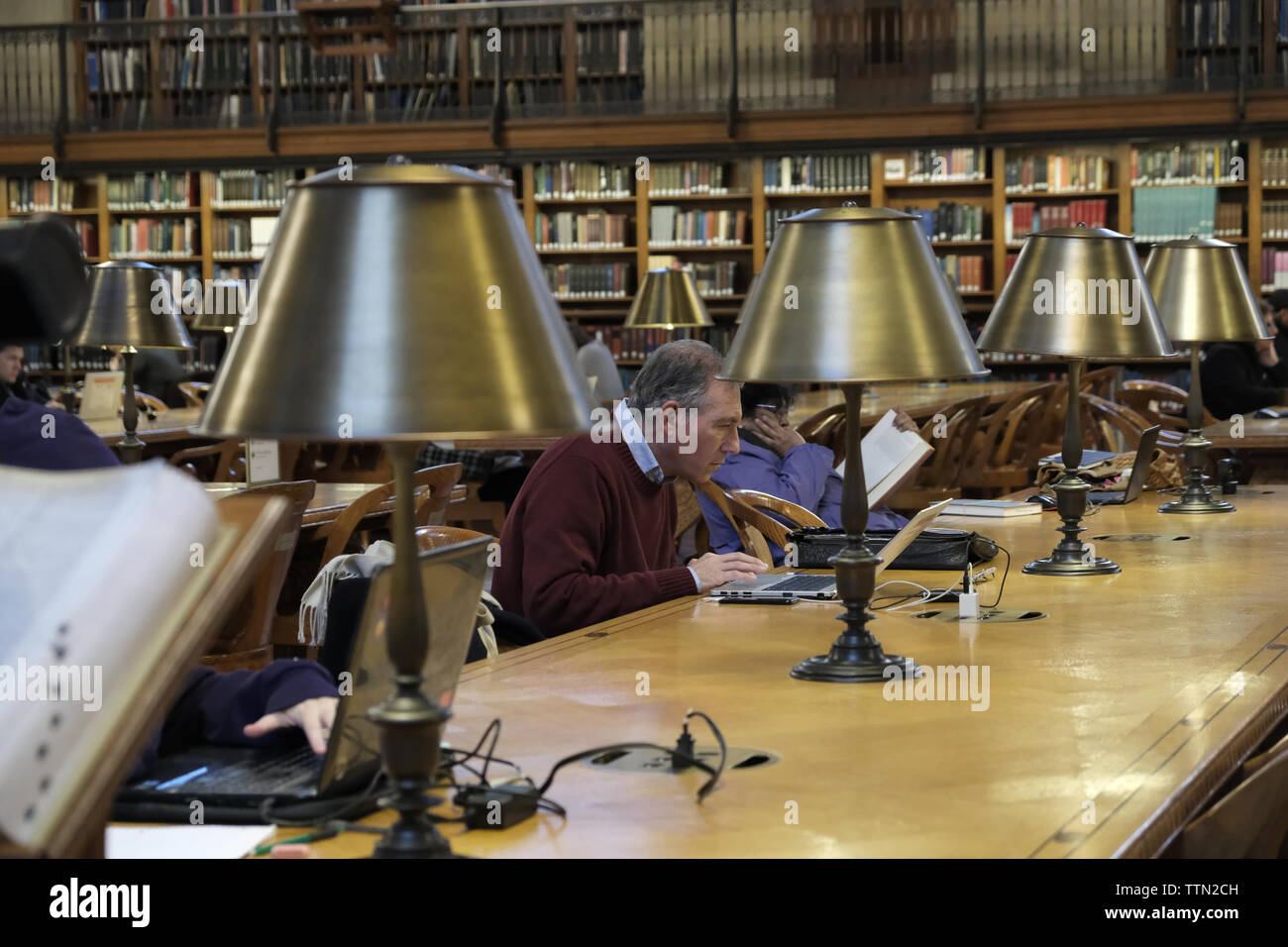 Dicembre 2017. Un gruppo di persone che studiano presso il Rose Sala di lettura principale nella Biblioteca Pubblica di New York in New York, Stati Uniti d'America Foto Stock