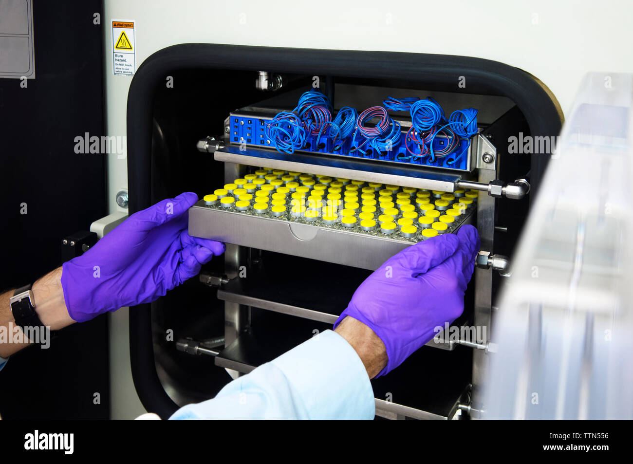 Immagine ritagliata di scienziato inserendo medical vassoio campioni in macchinari Foto Stock