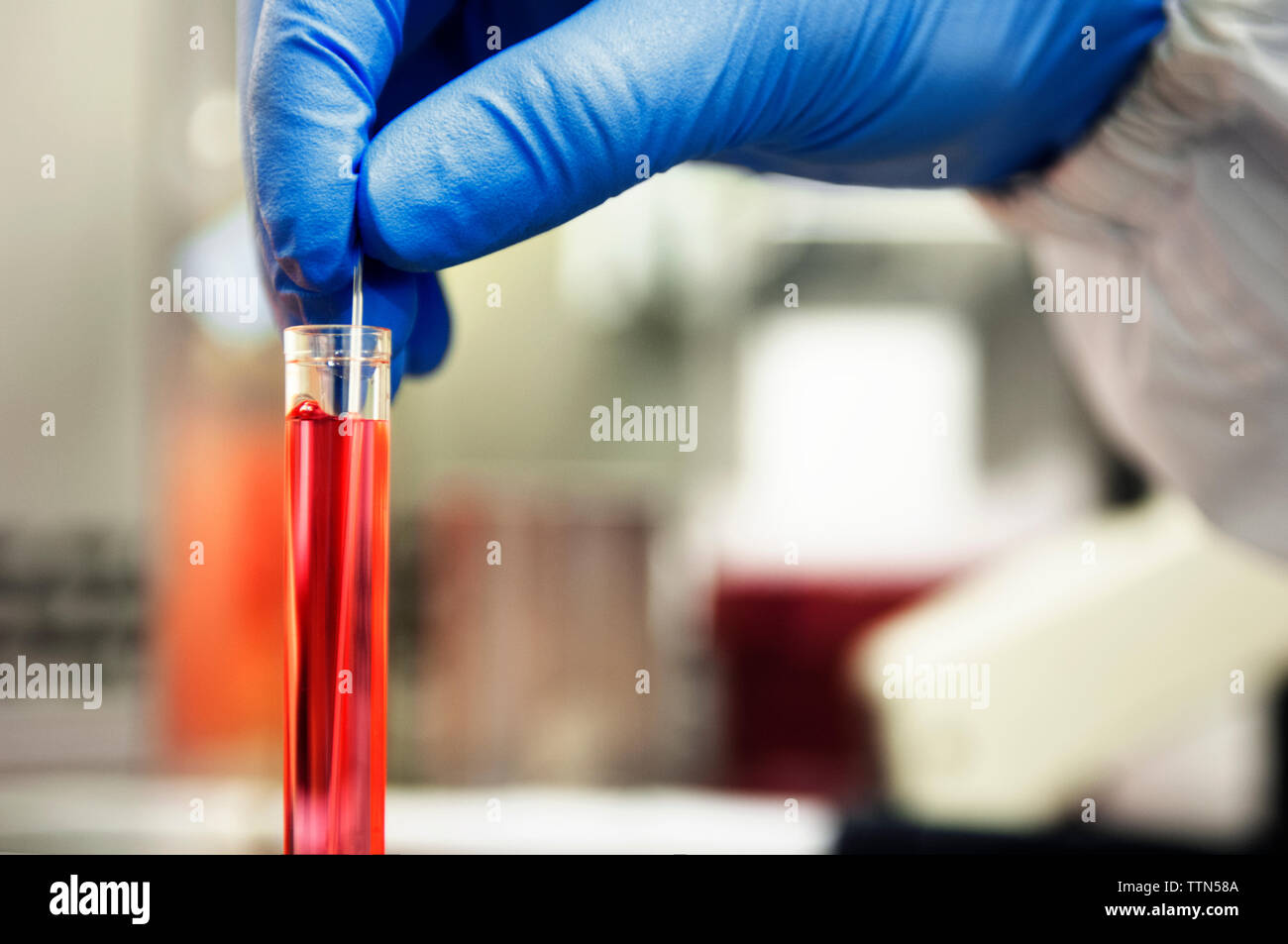 Scienziato di eseguire esperimenti in laboratorio Foto Stock