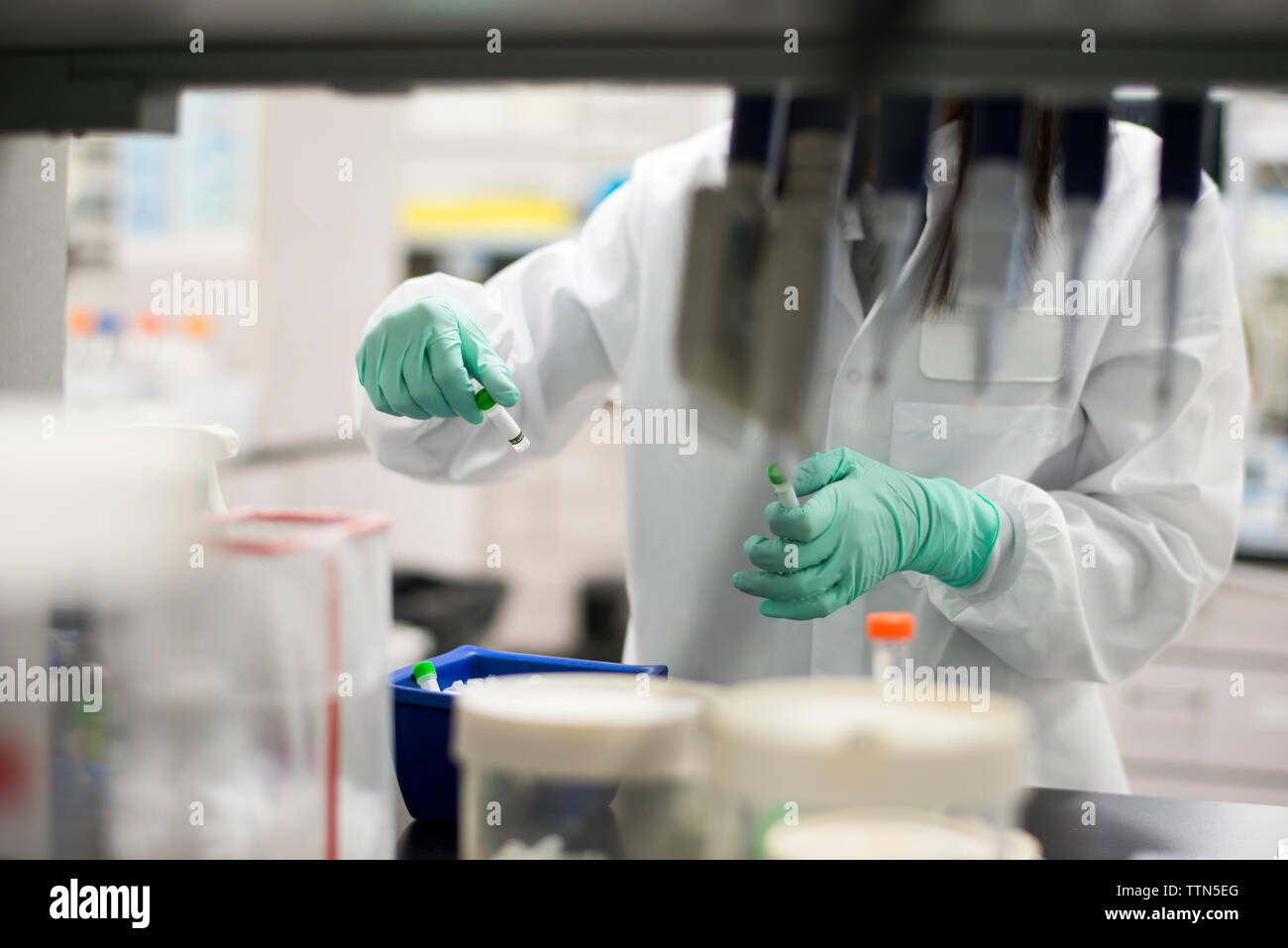 Sezione mediana dello scienziato esaminando campioni in laboratorio Foto Stock