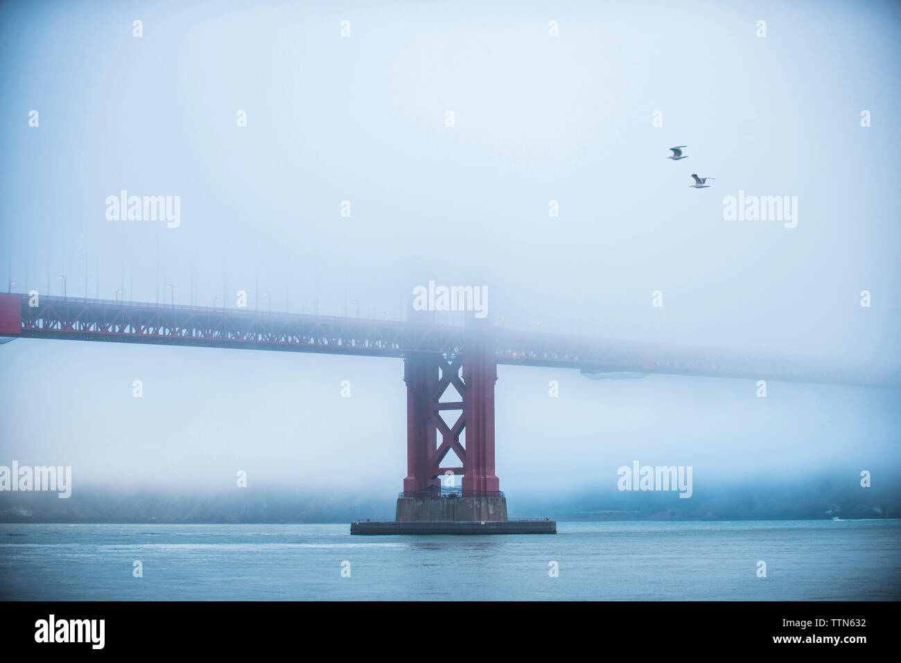 Golden Gate Bridge over bay durante la nebbia meteo Foto Stock