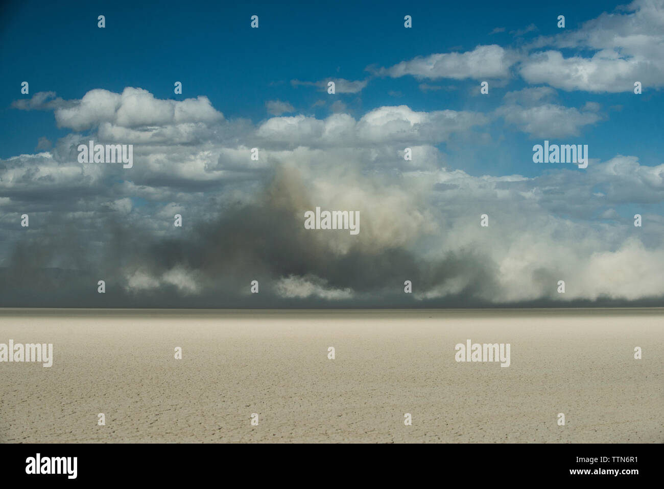Vista panoramica del deserto Alvord contro il cielo nuvoloso Foto Stock