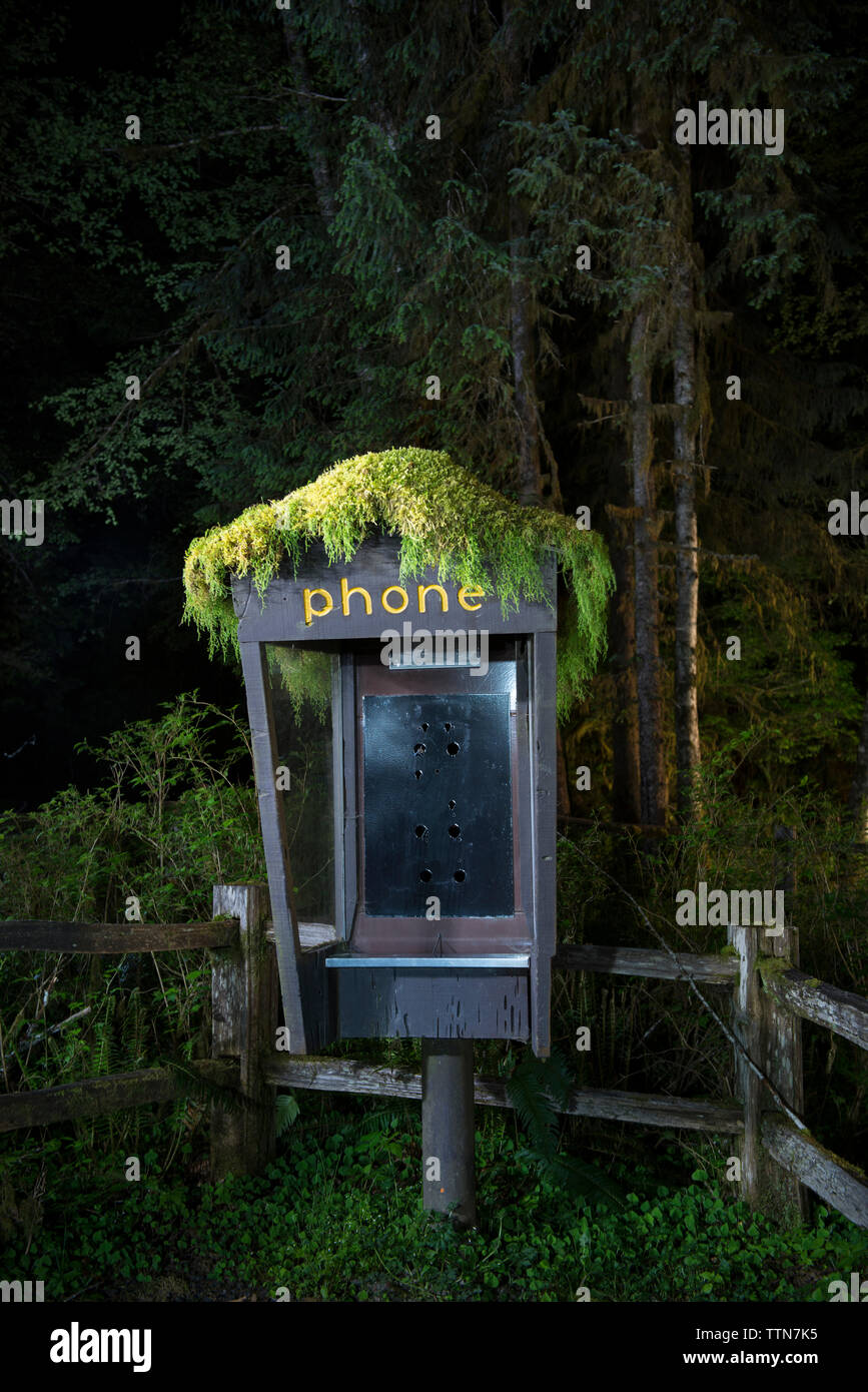 Abbandonata cabina telefonica nella foresta di notte Foto Stock