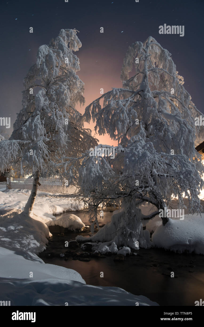 Chena Hot Springs da neve alberi coperti di notte Foto Stock