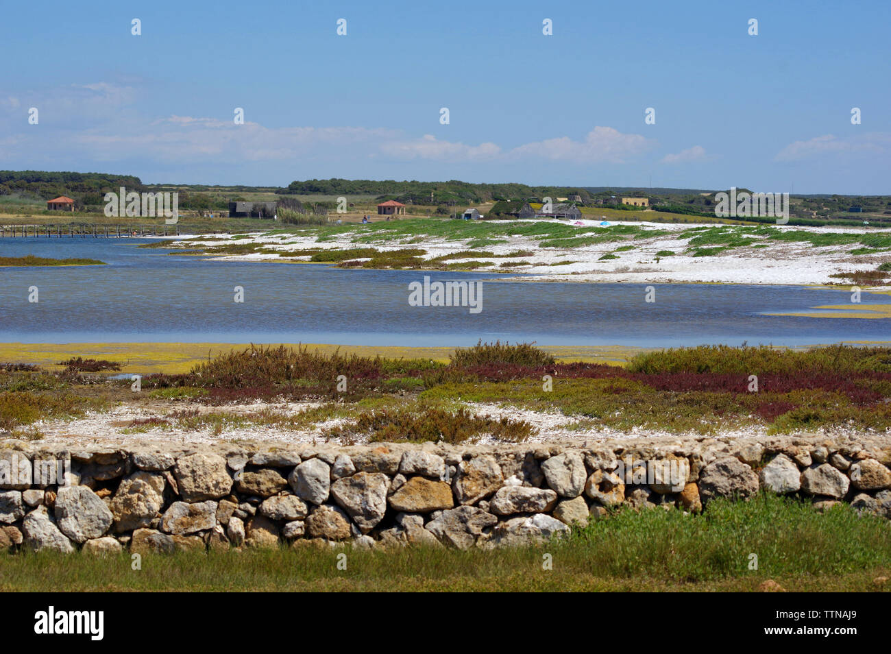 Penisola del Sinis, Sardegna, Italia. Mari Ermi stagno e spiaggia Foto Stock