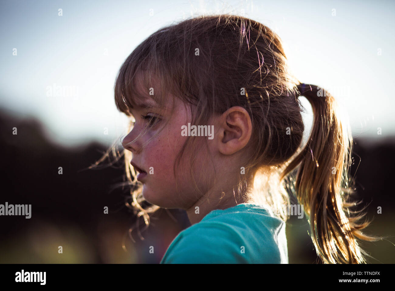 Profilo di 5 anno vecchia ragazza con coda di cavallo e le lentiggini e la luce del sole Foto Stock
