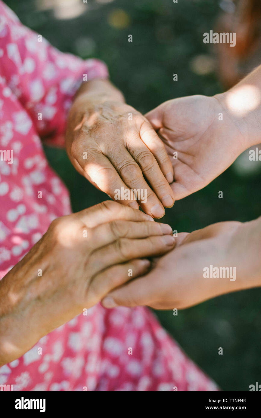 Close-up di nonna nipote tenendo le mani a backyard Foto Stock