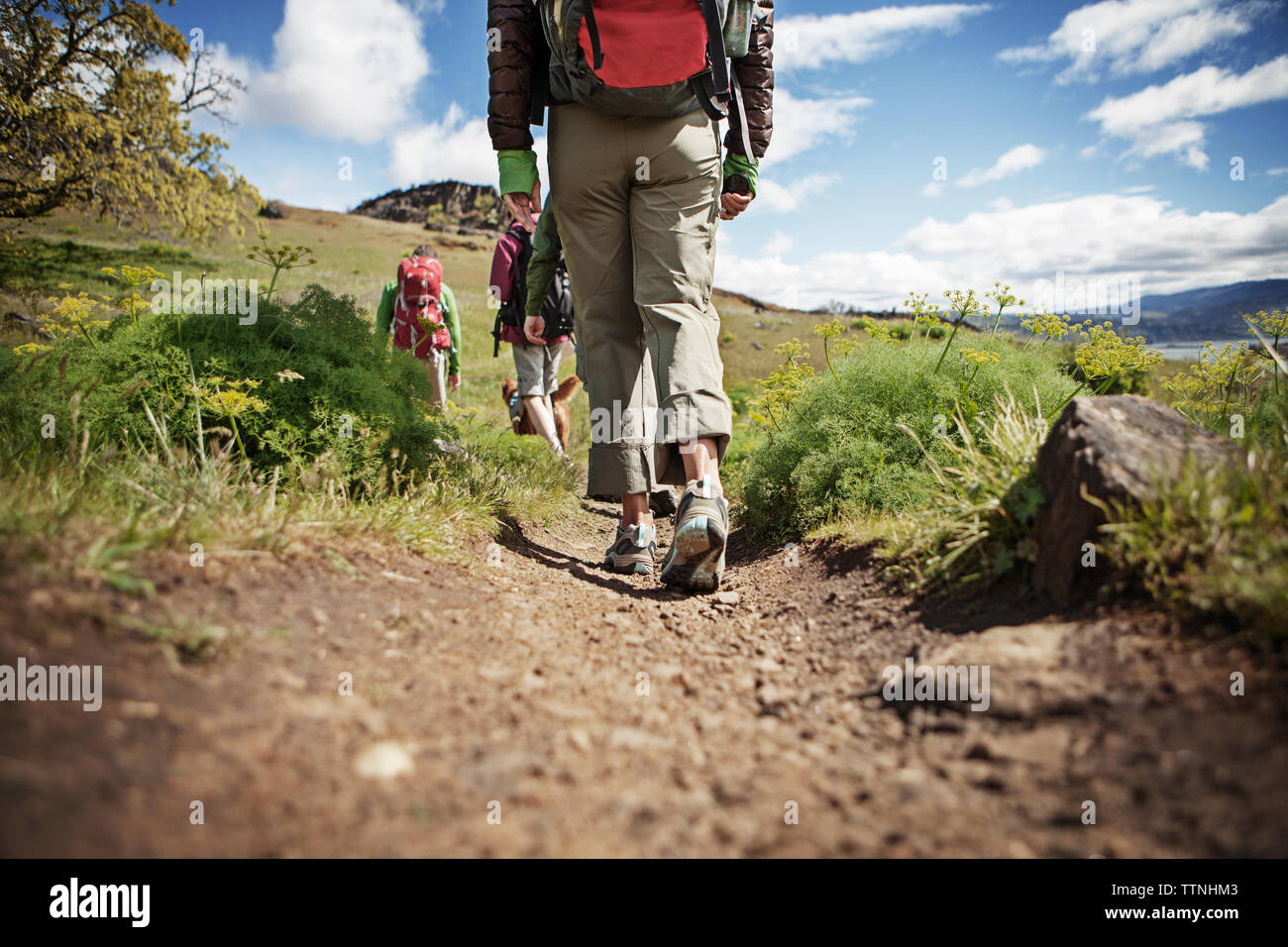 Vista posteriore di escursionisti a piedi sulla collina Foto Stock