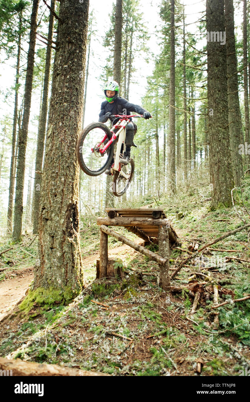 Basso angolo vista del ciclista jumping con bicicletta in foresta Foto Stock