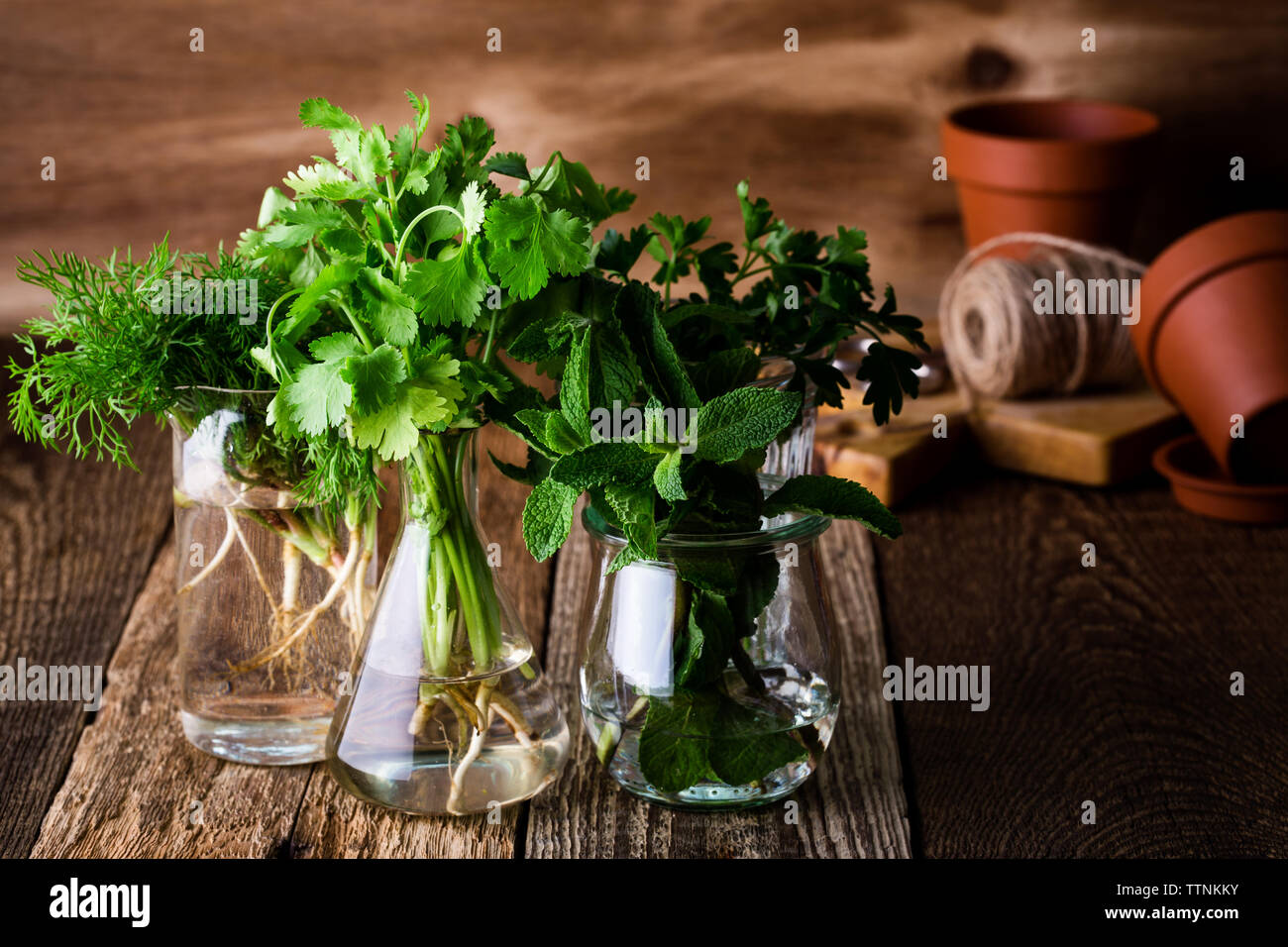 E una selezione di fresche fatte in casa culinaria organico e erbe aromatiche piante in vasetti di vetro su sfondo di legno, home giardinaggio, vicino il fuoco selettivo. Foto Stock