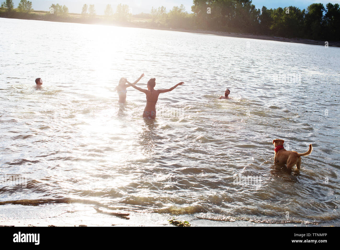 Amici godendo nel fiume sulla giornata di sole Foto Stock