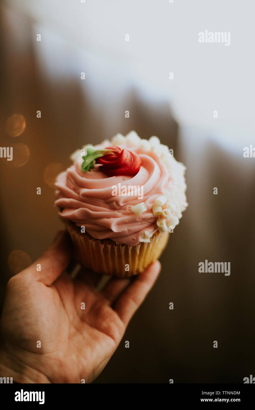 Ritagliate la mano della donna azienda cupcake a casa Foto Stock