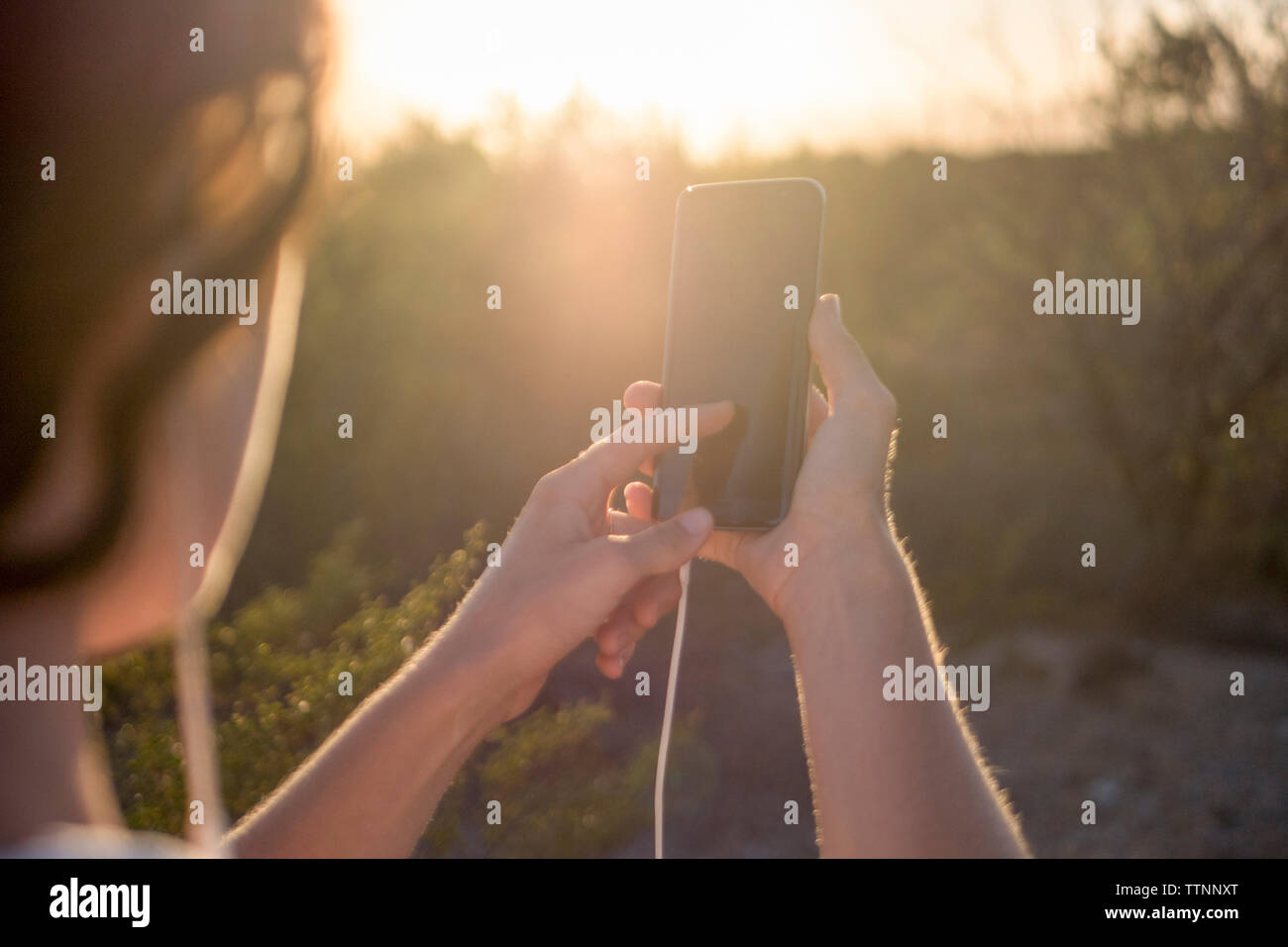 Immagine ritagliata della donna utilizzando il telefono cellulare Foto Stock