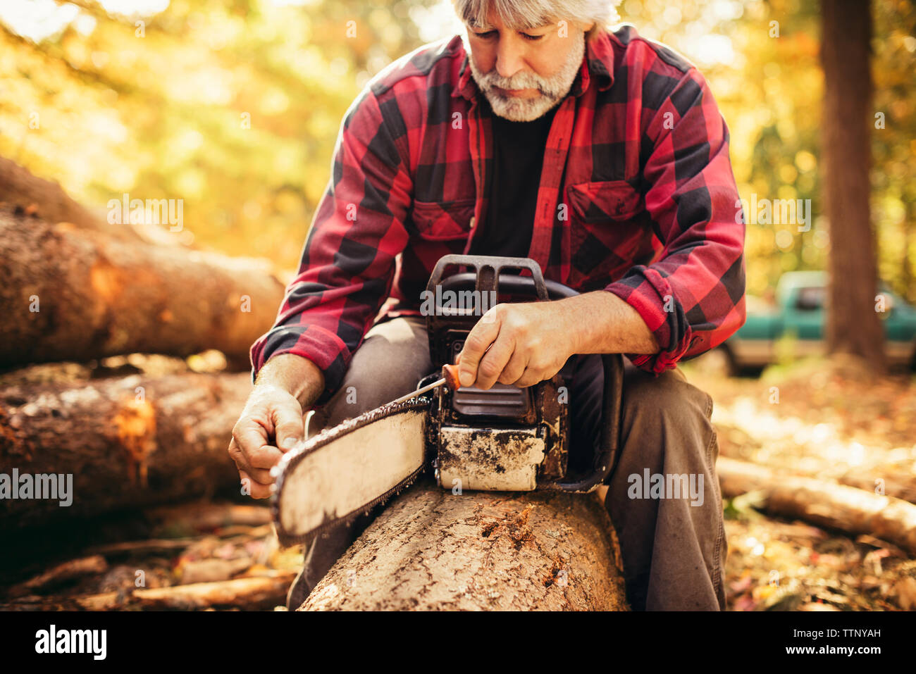 Maschio maturo lumberjack esaminando chainsaw seduti sul log in foresta Foto Stock