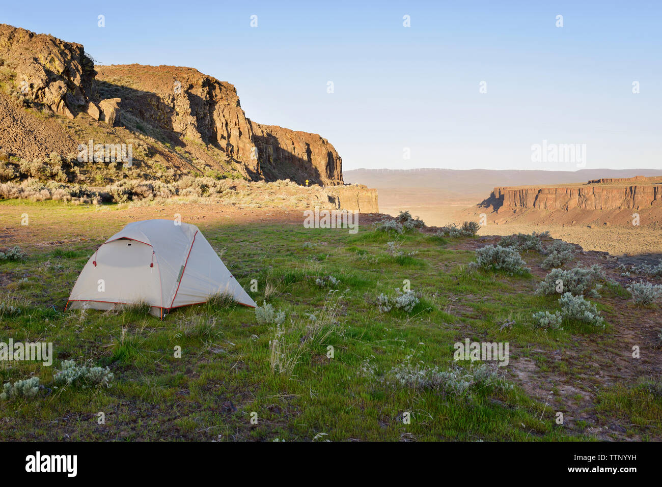 Tenda sul campo da parte di montagna a Gifford Pinchot National Forest Foto Stock