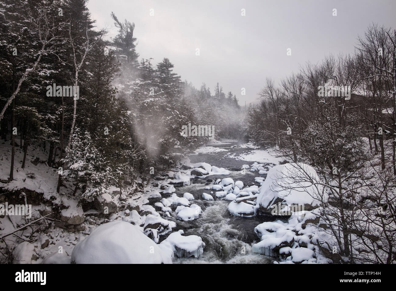 Flusso che scorre attraverso la coperta di neve rocce e alberi in foresta Foto Stock