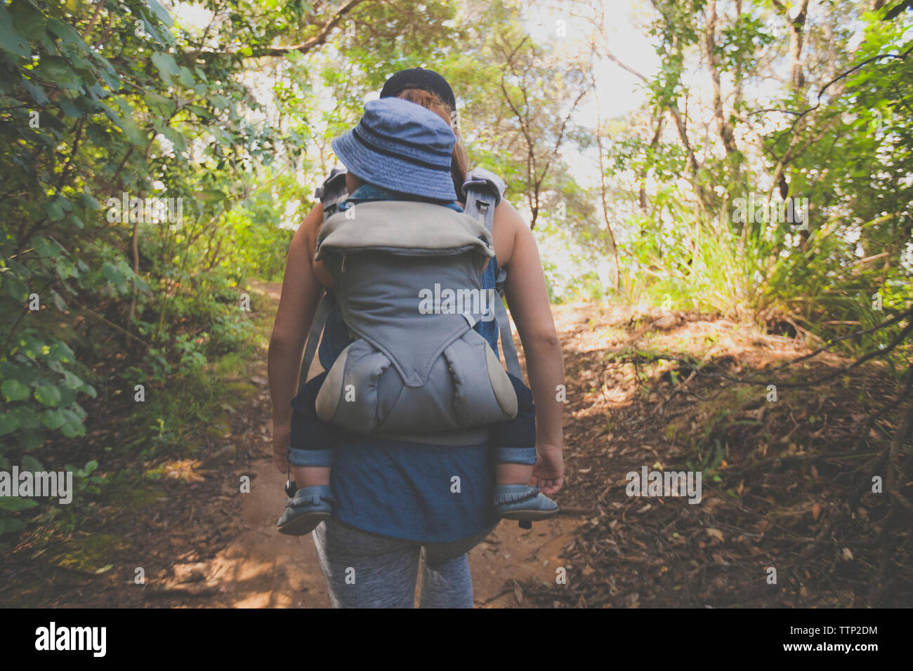 Vista posteriore della madre che porta il figlio in baby carrier mentre passeggiate in foresta Foto Stock
