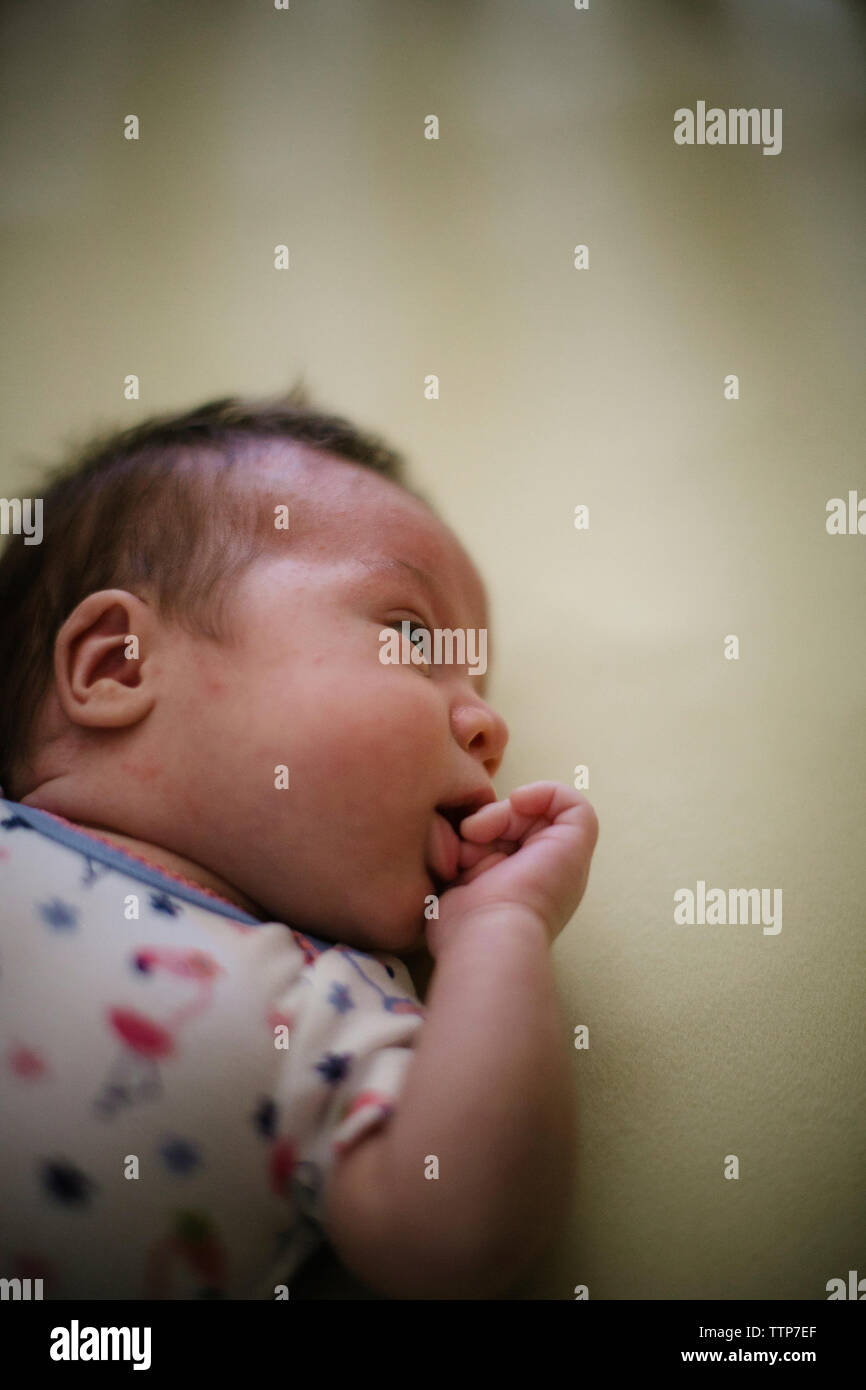 Angolo di alta vista della bambina che giace nella mangiatoia a home Foto Stock