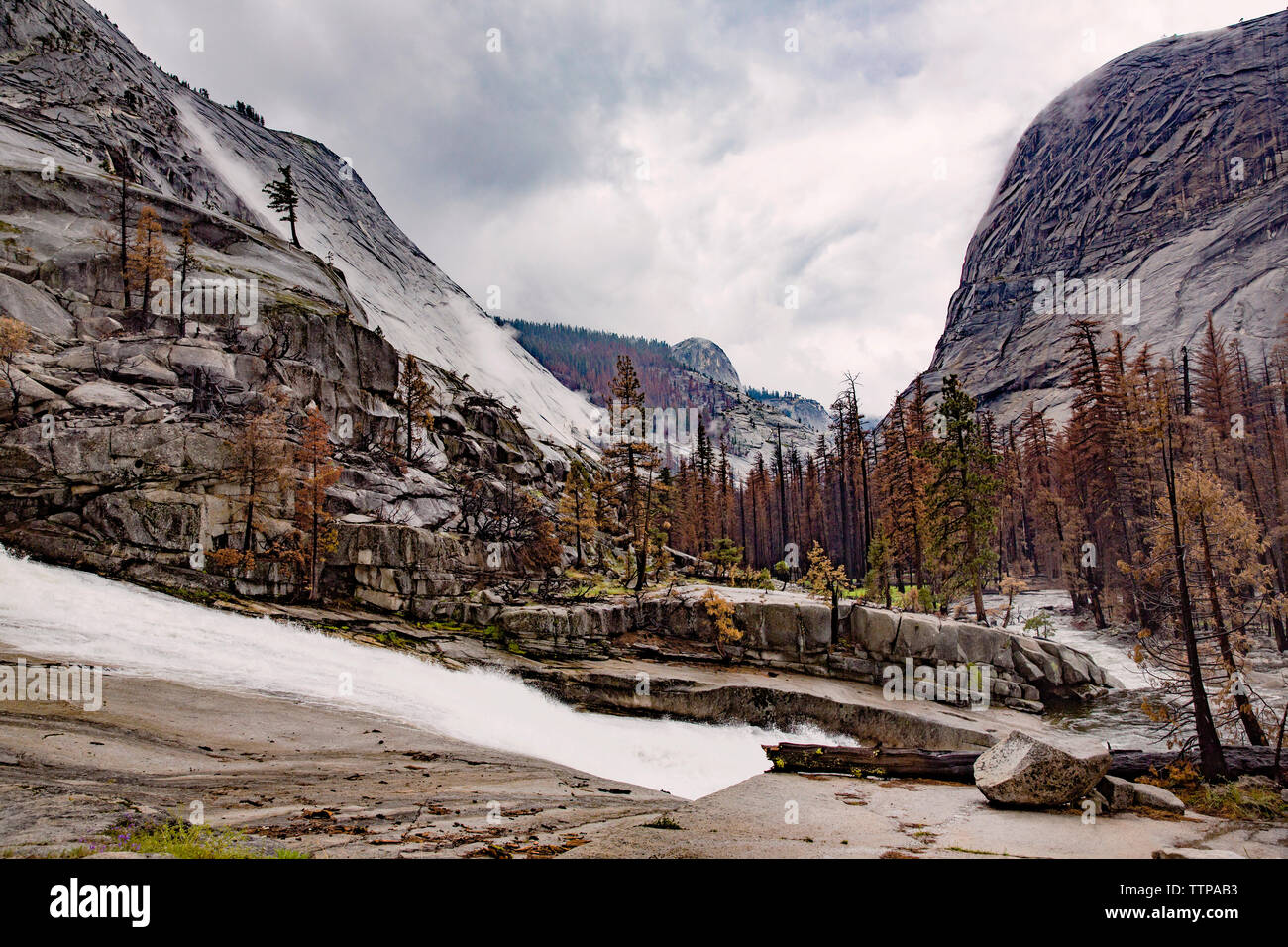 Fiume di montagna al Parco Nazionale di Yosemite Foto Stock