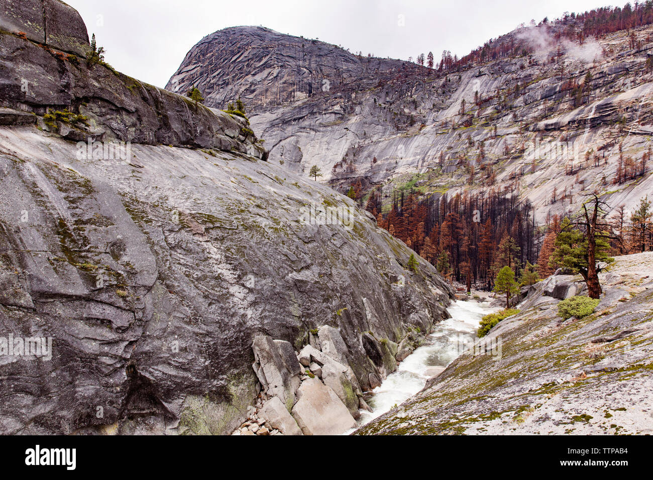 Basso angolo vista delle montagne al Parco Nazionale di Yosemite Foto Stock