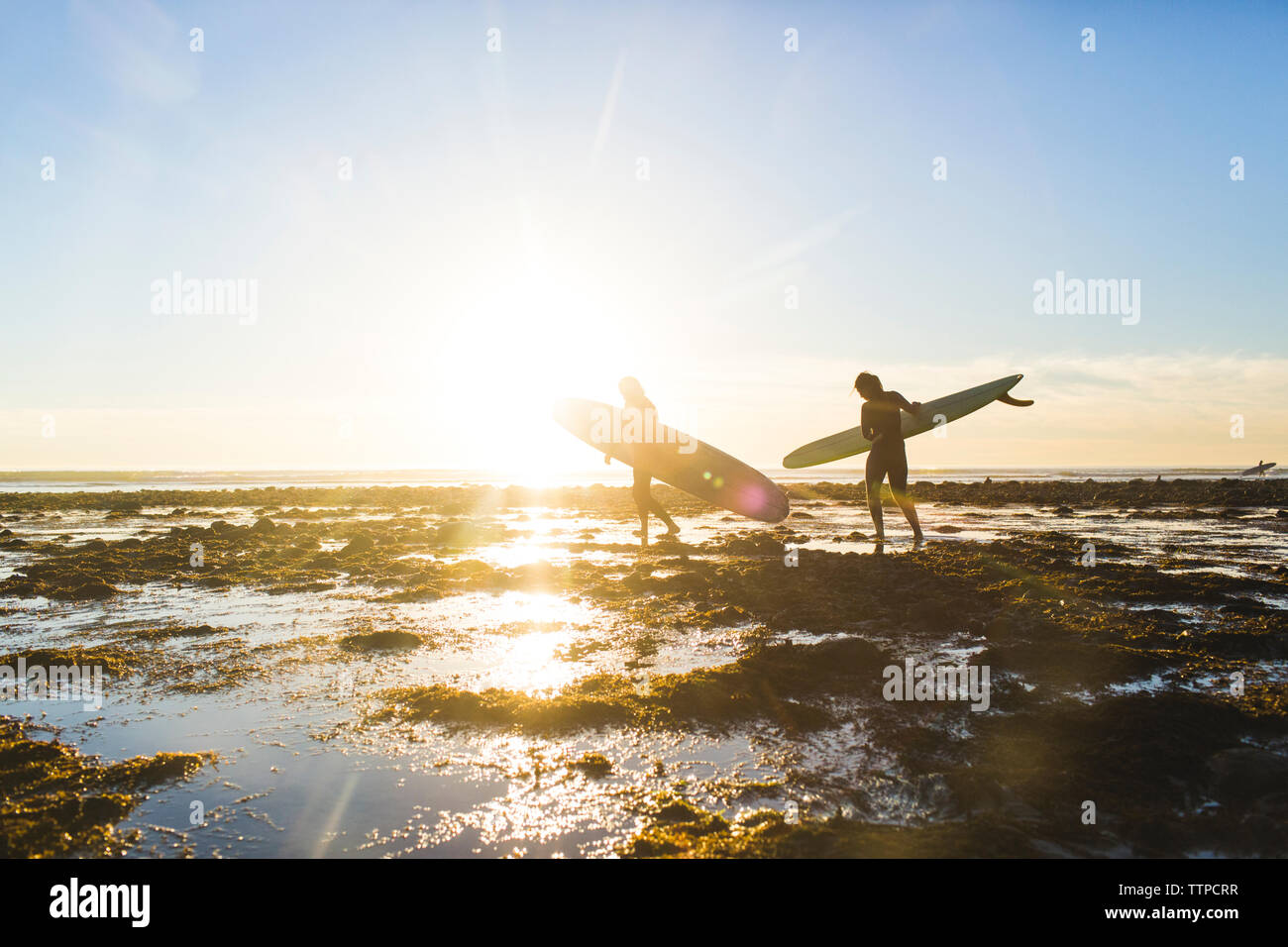 Giovane che trasportano le tavole da surf mentre si cammina su San Onofre State Beach durante le vacanze Foto Stock