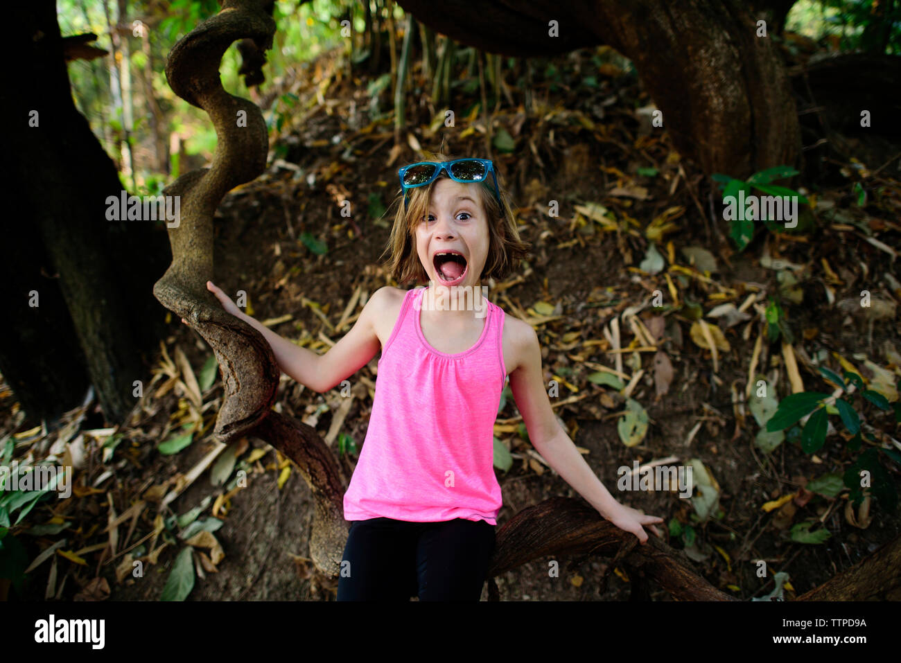 Ritratto di una ragazza con la bocca aperta permanente dal tronco di albero Foto Stock